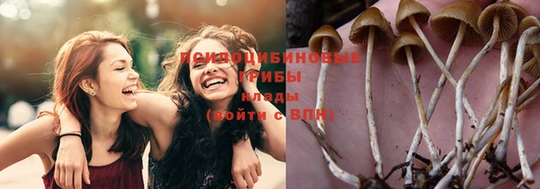 кристаллы Осинники